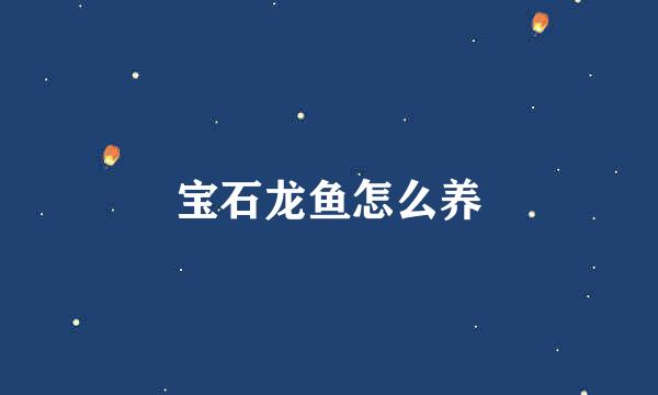 宝石龙鱼怎么养