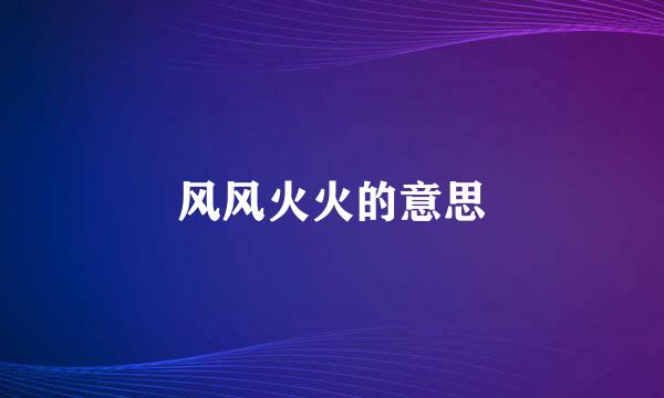 风风火火的意思