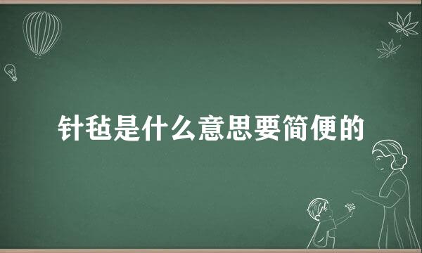 针毡是什么意思要简便的