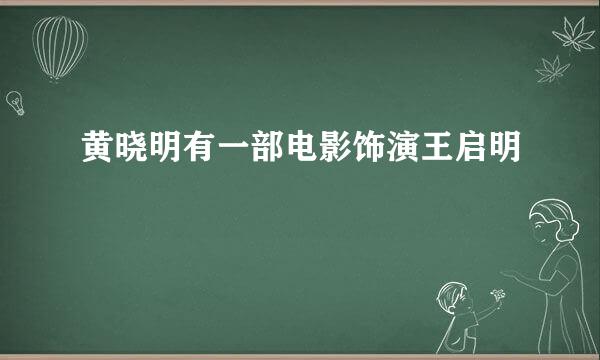 黄晓明有一部电影饰演王启明