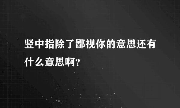 竖中指除了鄙视你的意思还有什么意思啊？