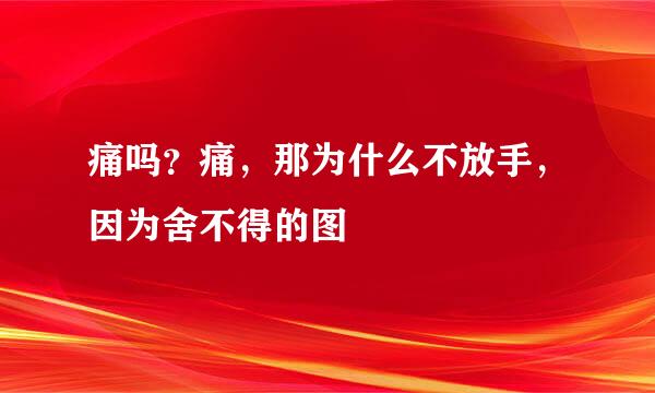 痛吗？痛，那为什么不放手，因为舍不得的图