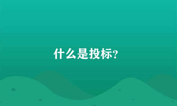 什么是投标？