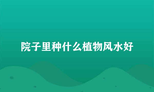 院子里种什么植物风水好