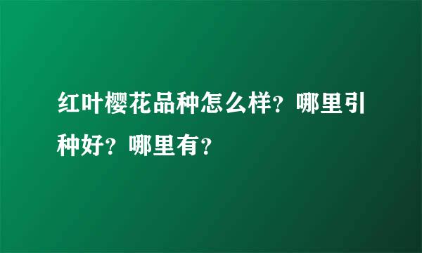 红叶樱花品种怎么样？哪里引种好？哪里有？