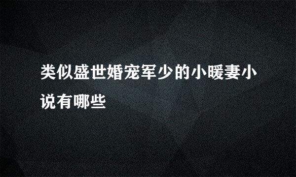 类似盛世婚宠军少的小暖妻小说有哪些