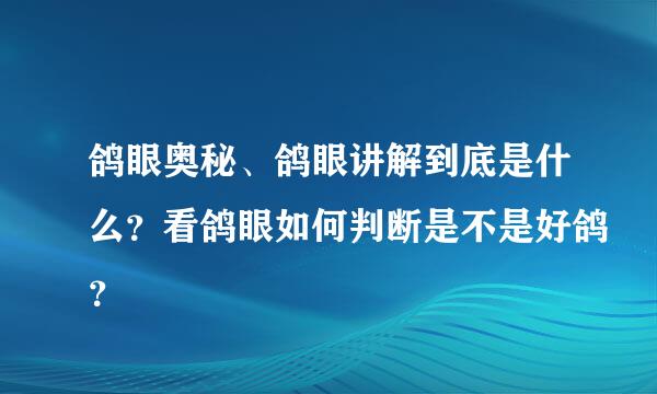 鸽眼奥秘、鸽眼讲解到底是什么？看鸽眼如何判断是不是好鸽？