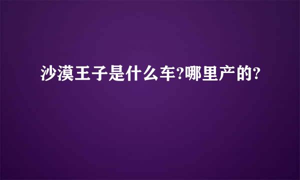 沙漠王子是什么车?哪里产的?