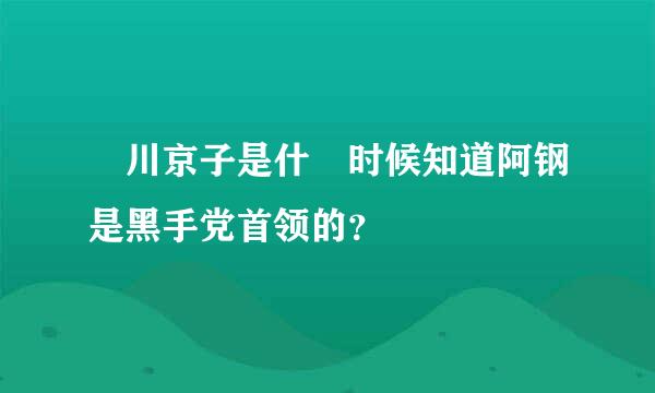 笹川京子是什麼时候知道阿钢是黑手党首领的？