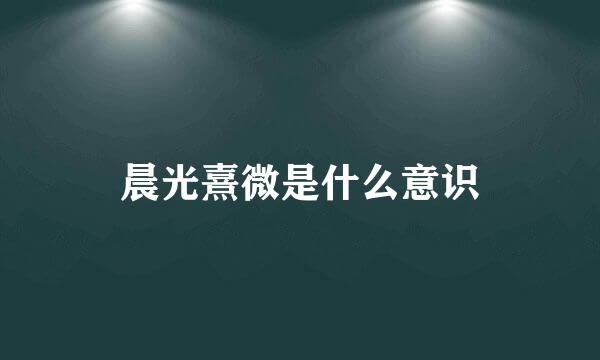 晨光熹微是什么意识