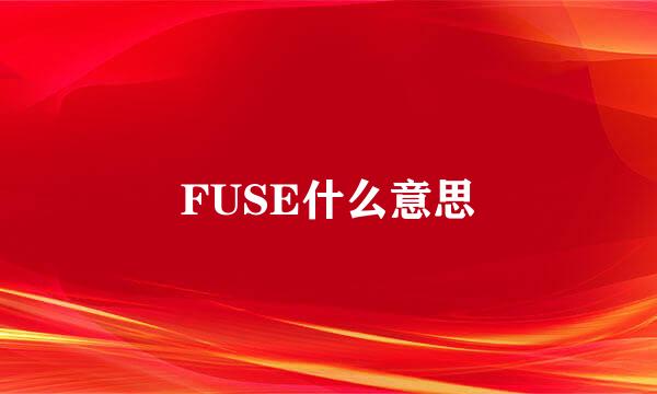 FUSE什么意思