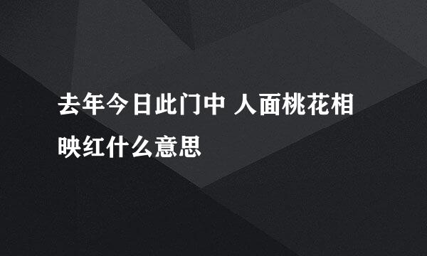 去年今日此门中 人面桃花相映红什么意思