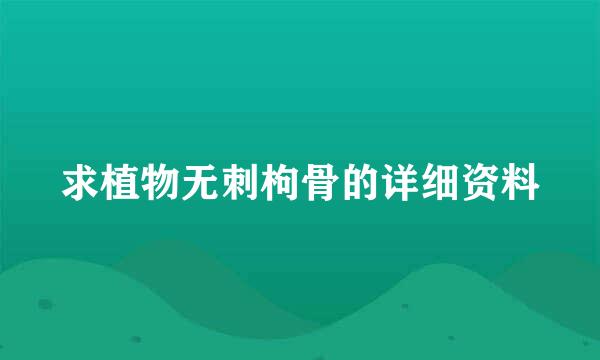 求植物无刺枸骨的详细资料