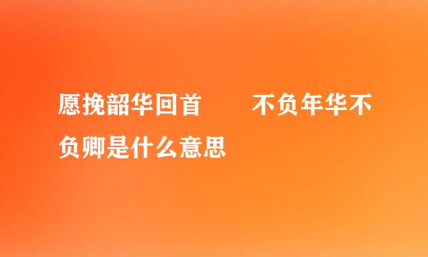 愿挽韶华回首　　不负年华不负卿是什么意思