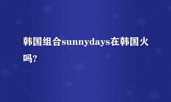 韩国组合sunnydays在韩国火吗?