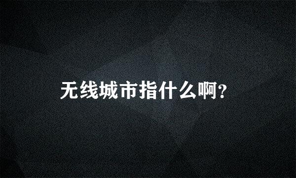 无线城市指什么啊？