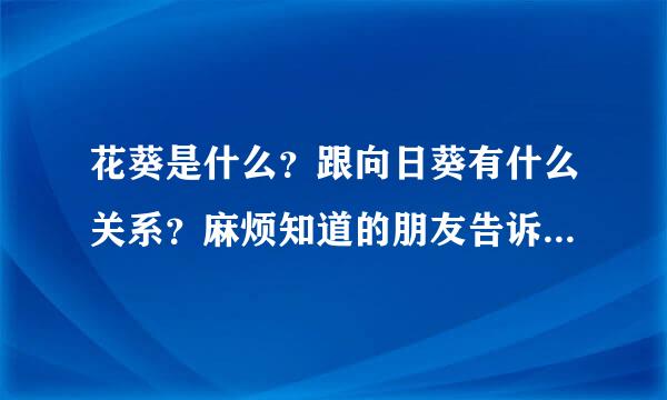 花葵是什么？跟向日葵有什么关系？麻烦知道的朋友告诉我、谢谢