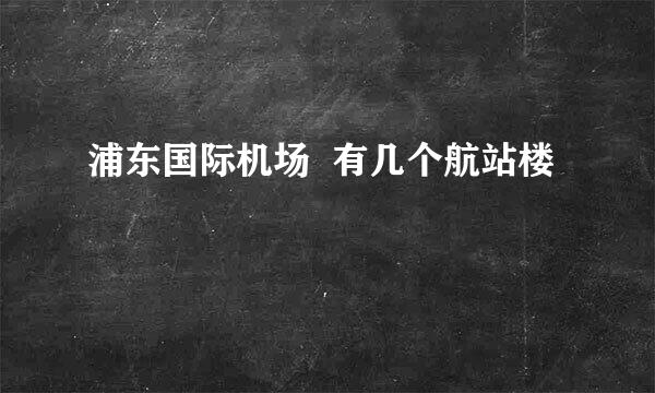 浦东国际机场  有几个航站楼