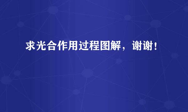 求光合作用过程图解，谢谢！