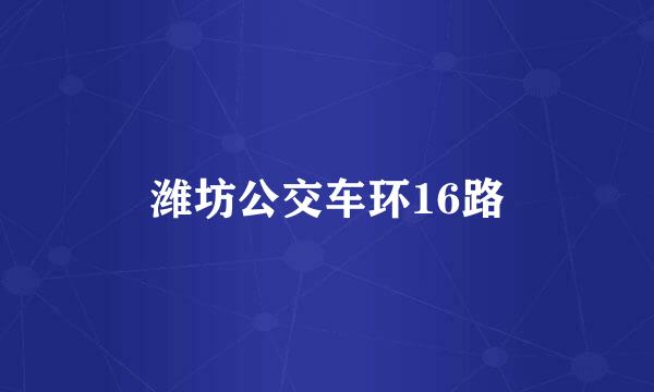 潍坊公交车环16路