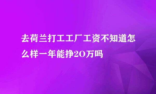 去荷兰打工工厂工资不知道怎么样一年能挣2O万吗