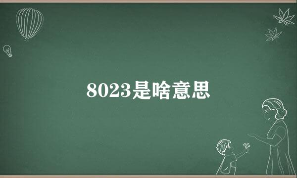 8023是啥意思