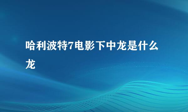 哈利波特7电影下中龙是什么龙