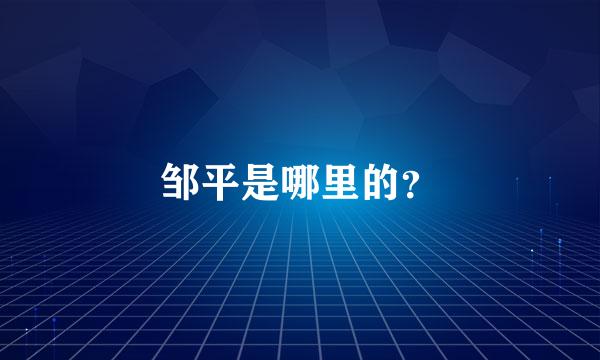 邹平是哪里的？