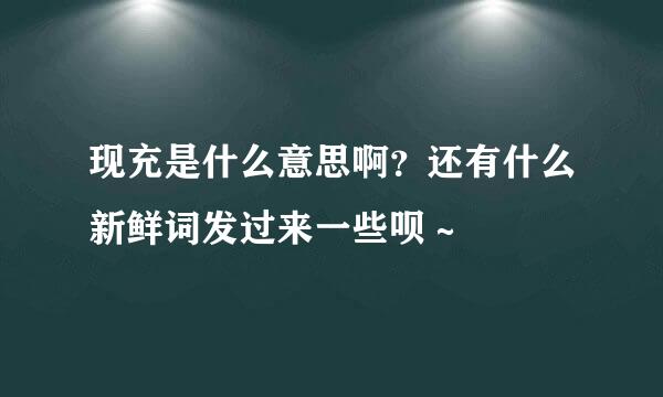 现充是什么意思啊？还有什么新鲜词发过来一些呗～