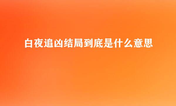 白夜追凶结局到底是什么意思