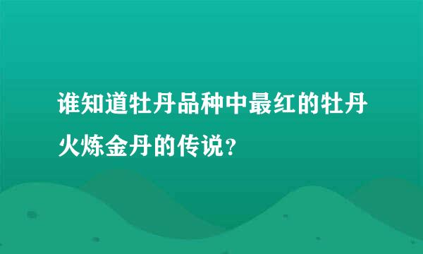 谁知道牡丹品种中最红的牡丹火炼金丹的传说？