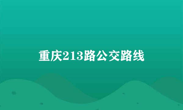 重庆213路公交路线