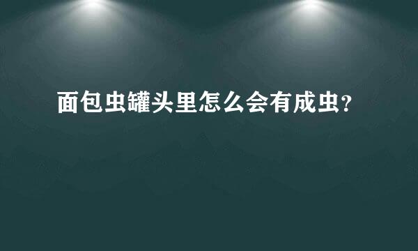 面包虫罐头里怎么会有成虫？