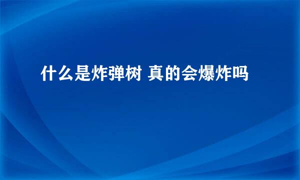 什么是炸弹树 真的会爆炸吗