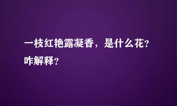 一枝红艳露凝香，是什么花？咋解释？