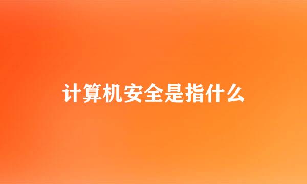 计算机安全是指什么