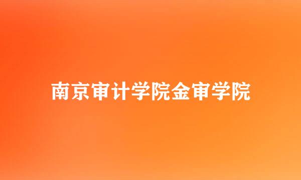 南京审计学院金审学院