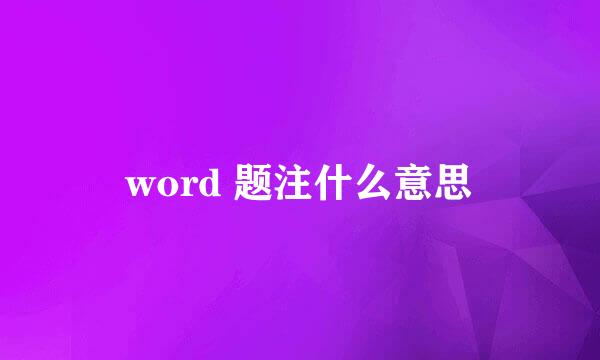 word 题注什么意思