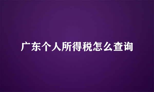 广东个人所得税怎么查询