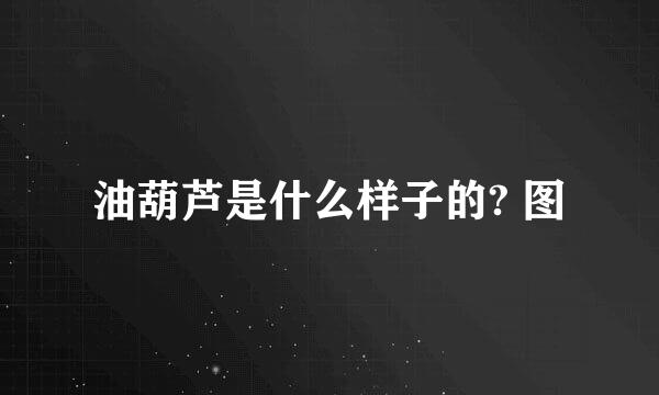 油葫芦是什么样子的? 图