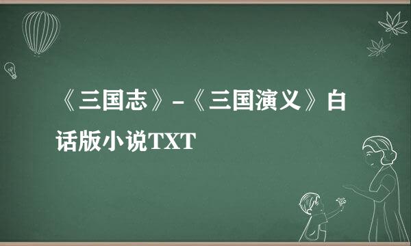 《三国志》-《三国演义》白话版小说TXT