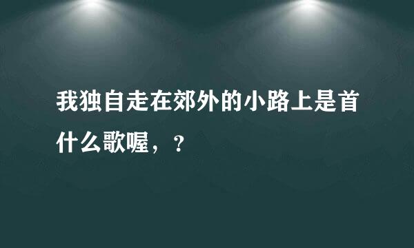 我独自走在郊外的小路上是首什么歌喔，？