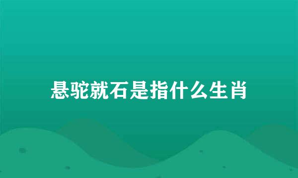 悬驼就石是指什么生肖