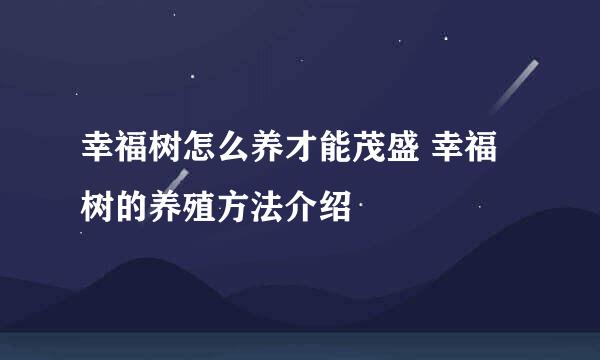 幸福树怎么养才能茂盛 幸福树的养殖方法介绍