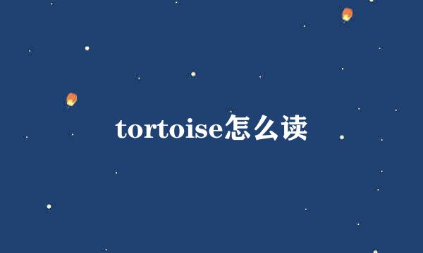 tortoise怎么读