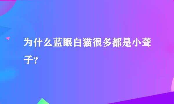 为什么蓝眼白猫很多都是小聋子？