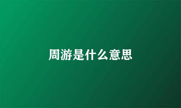 周游是什么意思