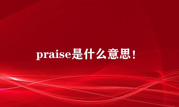 praise是什么意思！