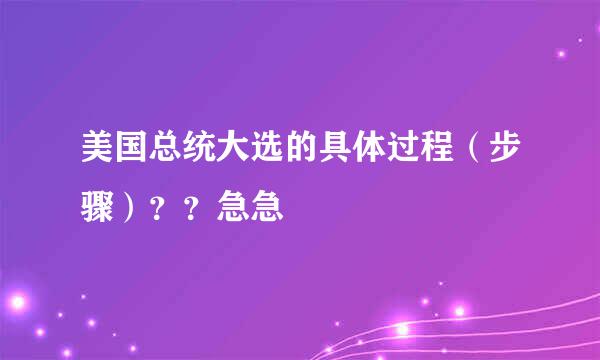 美国总统大选的具体过程（步骤）？？急急