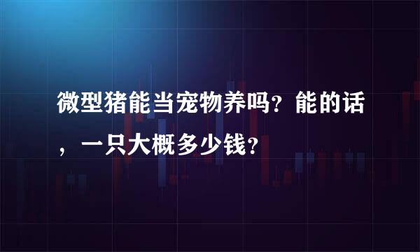 微型猪能当宠物养吗？能的话，一只大概多少钱？